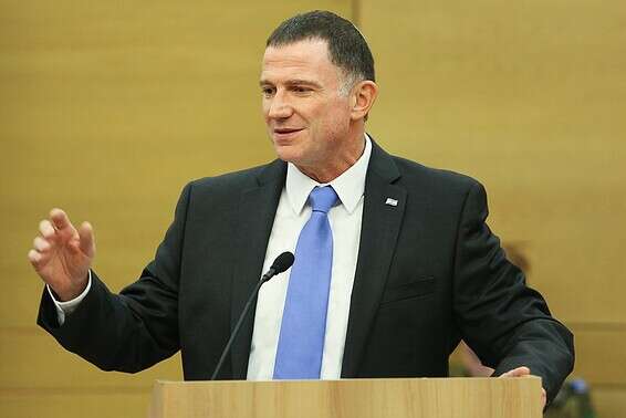 יו"ר הכנסת יולי אדלשטיין // צילום: נועם רבקין פנטון